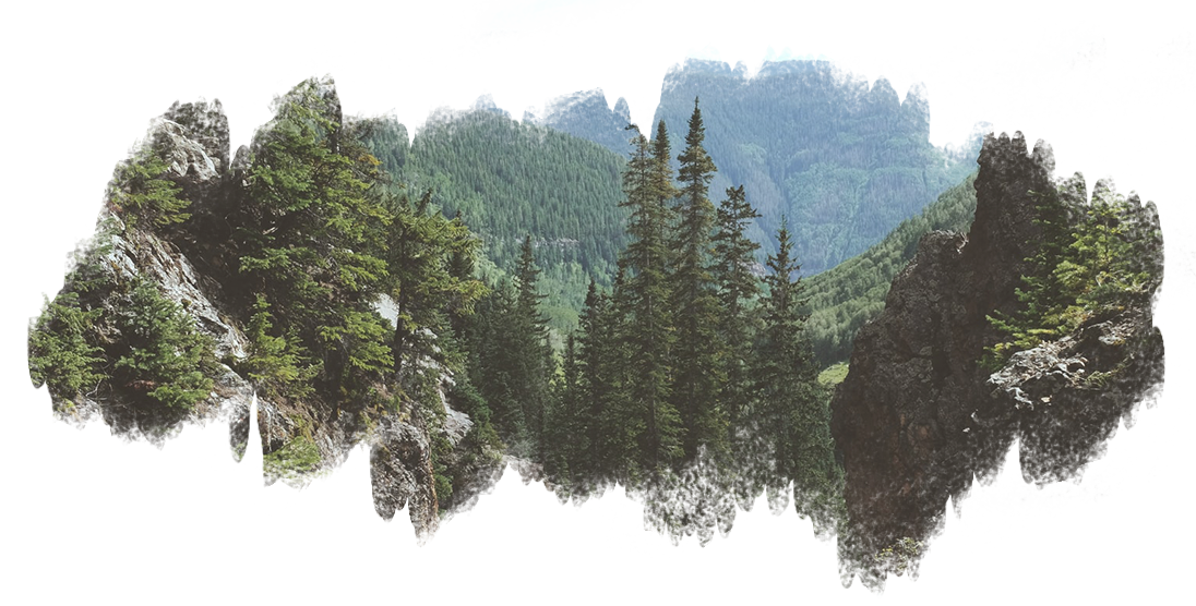 About-深碧の森について