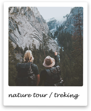 ネイチャーウォーク