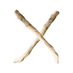 メニュー閉じる