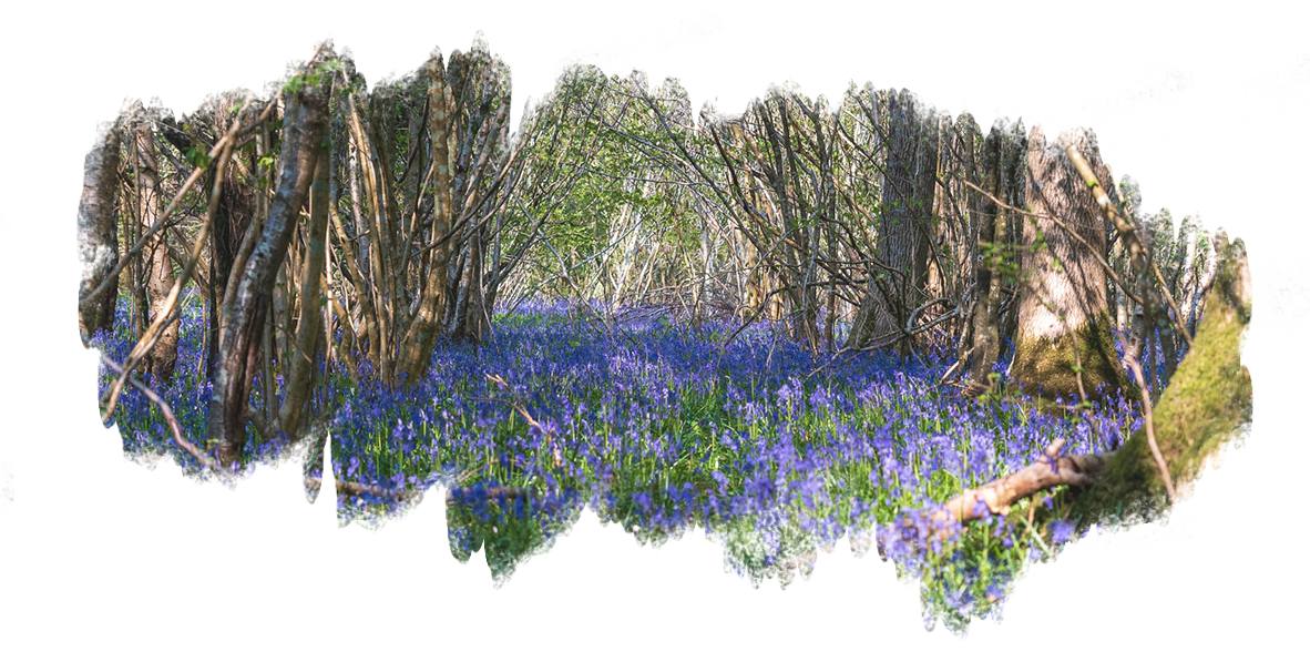 Reservation-予約する-